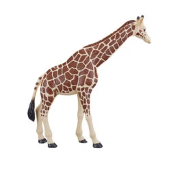 Besttoy Wildlife - Giraffe Weiblich - Spielfigur 387006 5 Besttoy Wildlife - Giraffe Weiblich - Spielfigur 387006 -Rabatt Spielzeug Geschäft 225427 5031923870062 besttoy giraffe 04