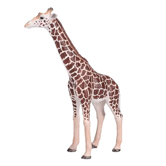 Besttoy Wildlife - Giraffe Männlich - Spielfigur 381008 2 Besttoy Wildlife - Giraffe Männlich - Spielfigur 381008 – Bild 2