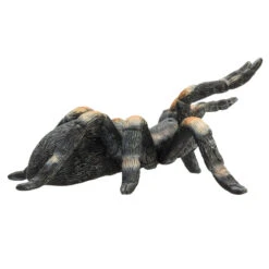 Besttoy Wildlife - Tarantel - Spielfigur 387213 9 Besttoy Wildlife - Tarantel - Spielfigur 387213 -Rabatt Spielzeug Geschäft 225435 5031923872134 besttoy tarantel 01