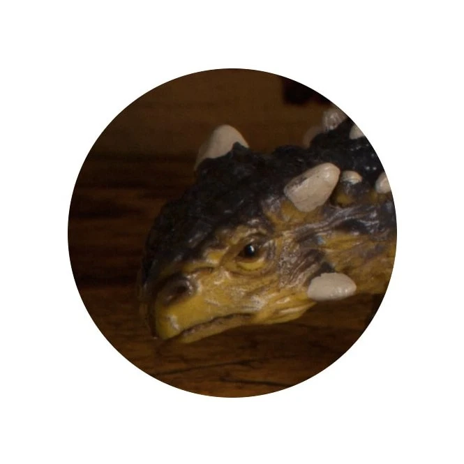 Dinowelt Spielfigur - Saichania 2 Dinowelt Spielfigur - Saichania – Bild 2